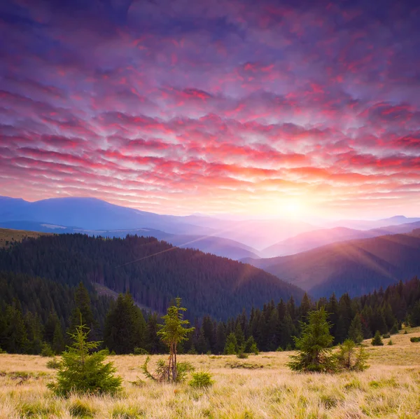 Paisagem montanhosa ao amanhecer — Fotografia de Stock