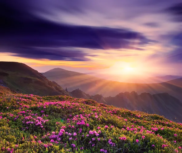 Prachtige zonsondergang in het voorjaar in de bergen — Stockfoto