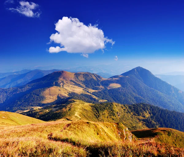 Sunny day in the mountains — Stock Photo, Image