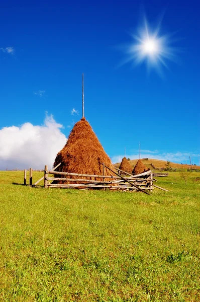 Landsbygdens landskap i sommar — Stockfoto