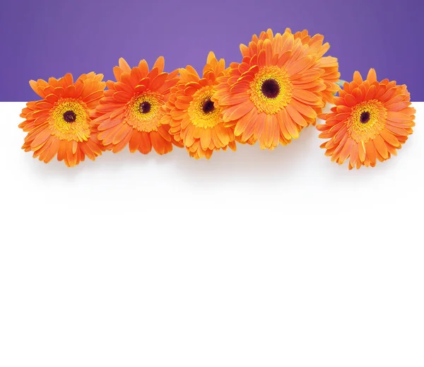 Design with flowers — Stock Photo, Image
