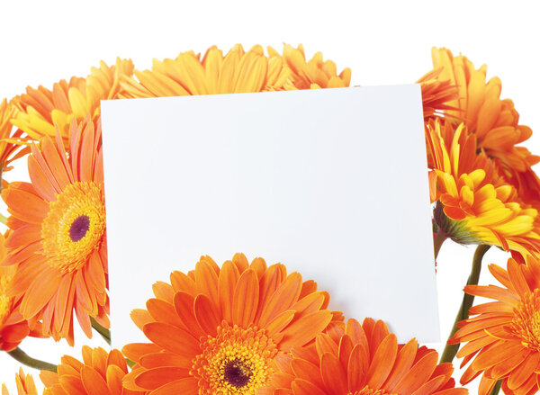 Message in the bouquet of gerber