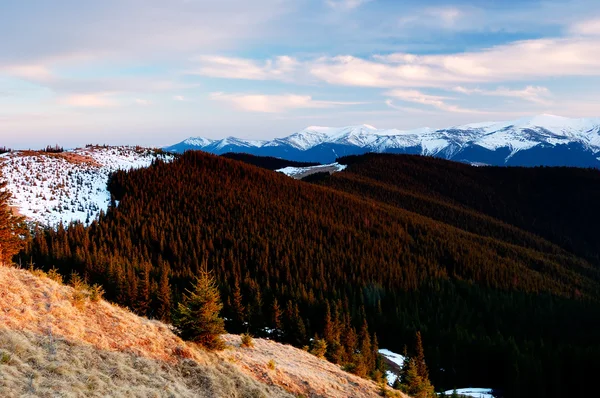 Spring day in the mountains — Stock Photo, Image