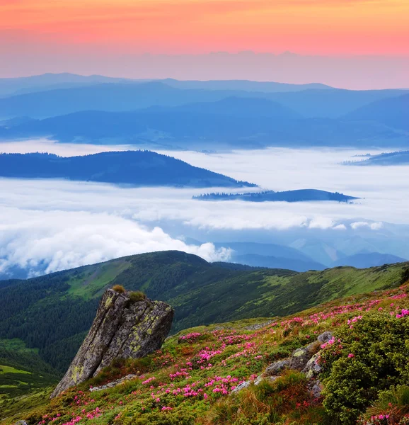 Schöne Frühlingslandschaft — Stockfoto