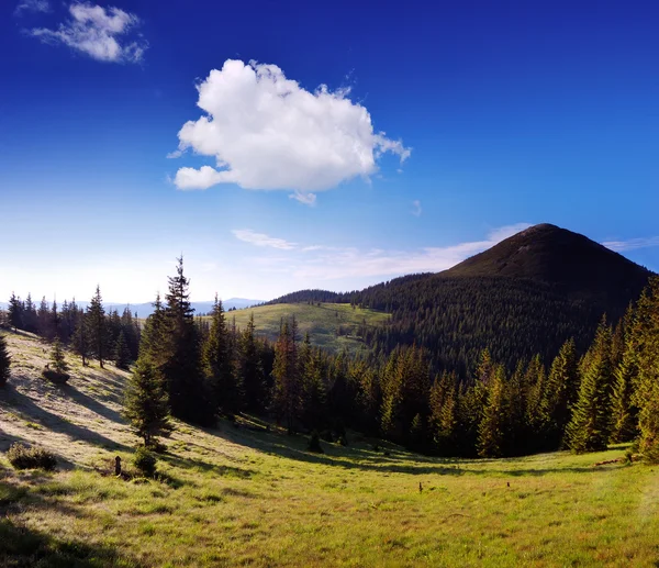 Paisaje con montaña — Foto de Stock