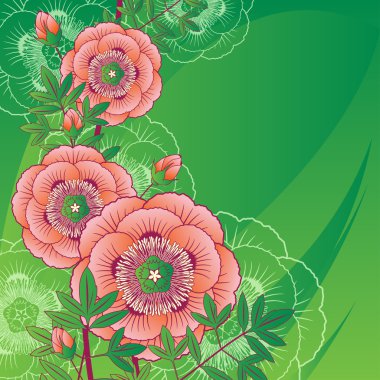 Vector floral arka plan tasarımı için