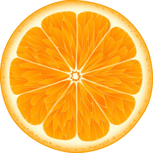 Naranja sobre fondo blanco — Vector de stock