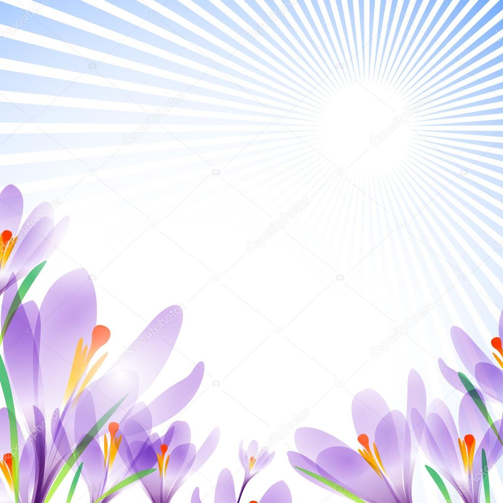 Vector background for design with spring flowers