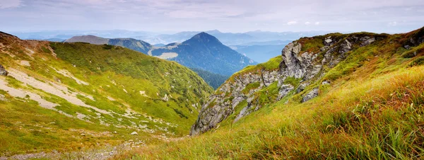 Ruggen — Stockfoto