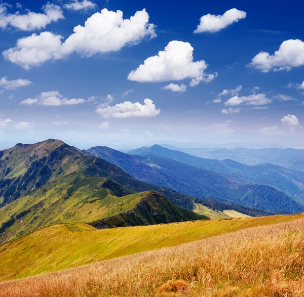 Zonnige landschap — Stockfoto