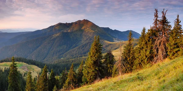 Sera in montagna — Foto Stock