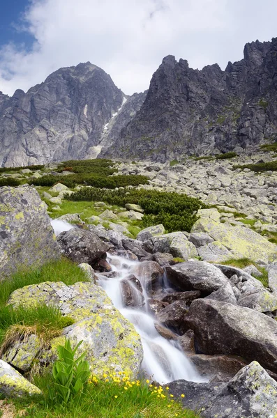 Hegyi folyó — Stock Fotó