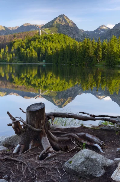 Brzegu jeziora górskie — Zdjęcie stockowe
