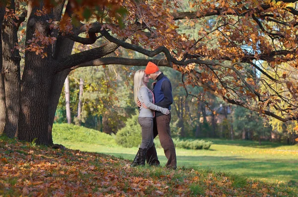 Joyeux couple sous l'arbre — Photo