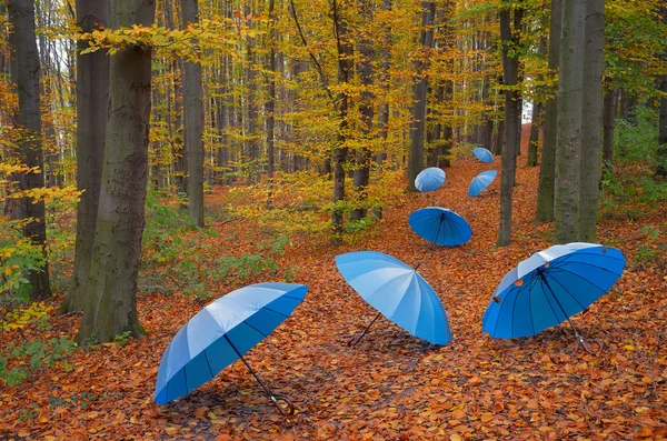 A fa napernyő — Stock Fotó
