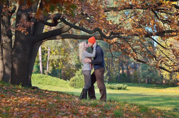 Couple kisses — Stock Photo, Image