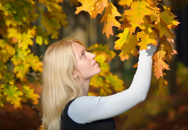 Dívka s podzimní listí — Stock fotografie