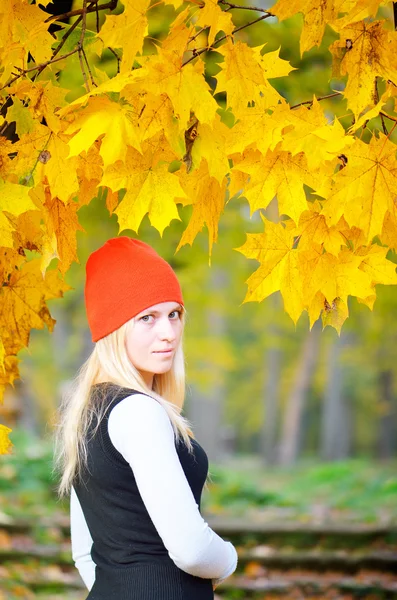 Chica en el bosque de otoño — Foto de Stock