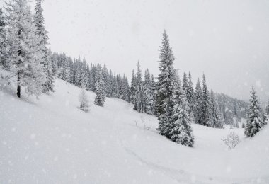 Dağlarda kar fırtınası