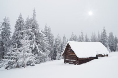 Ormanda kulübe.