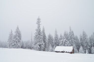 kulübe ile dağ Vadisi