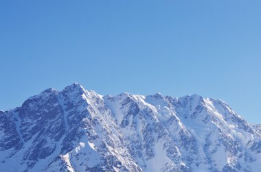 dağ olan