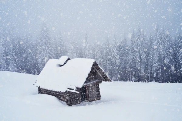 Хижина в лесу — стоковое фото