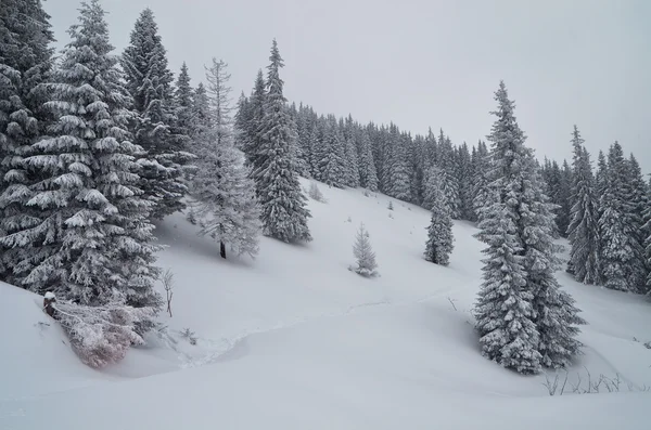 Vinter i berget dalen — Stockfoto