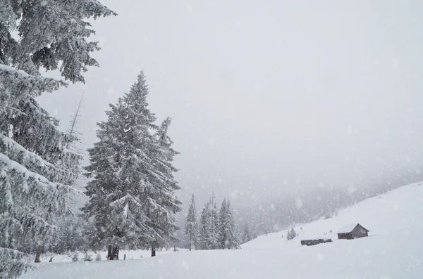 Snöfall i bergen — Stockfoto