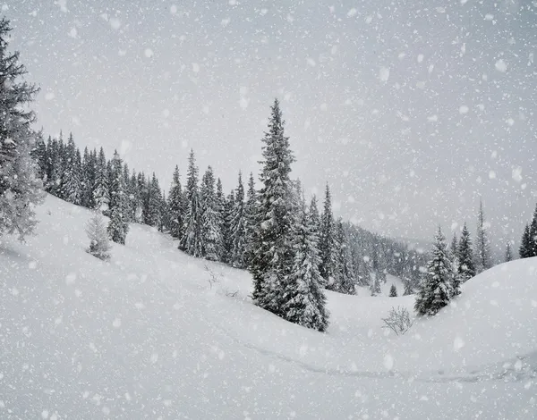 Tempestade de neve nas montanhas — Fotografia de Stock