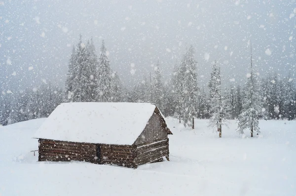 Nieve en las montañas — Foto de Stock