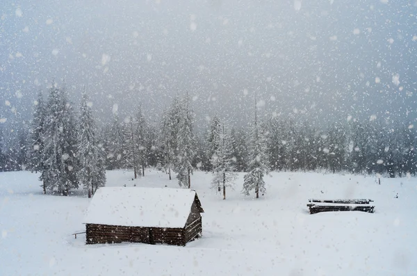 在山区降雪 — 图库照片