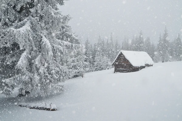 Zimowych blizzard — Zdjęcie stockowe