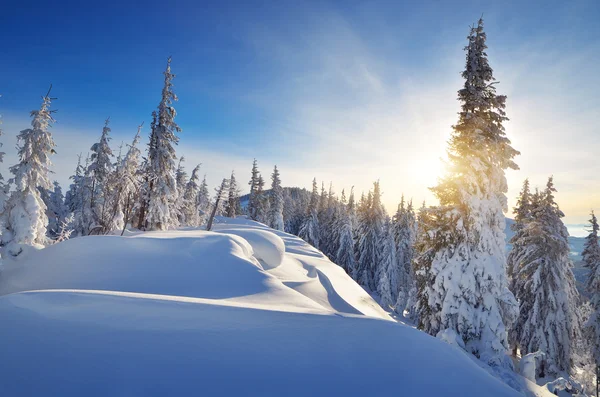 Winter in de bergen — Stockfoto
