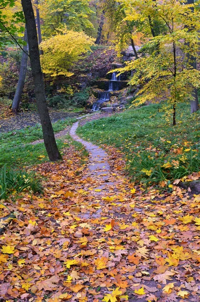 Outono no parque — Fotografia de Stock