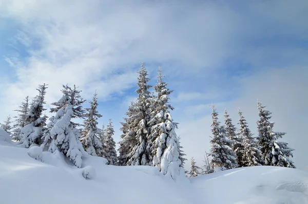 Paesaggio invernale in montagna — Foto Stock