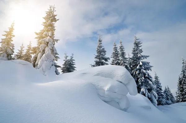 Ηλιόλουστο χειμερινό τοπίο — Φωτογραφία Αρχείου