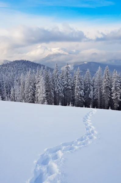 Camino en la nieve —  Fotos de Stock