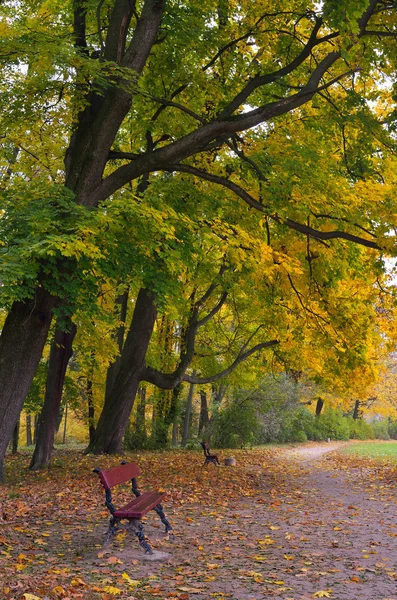 Höst i parken — Stockfoto