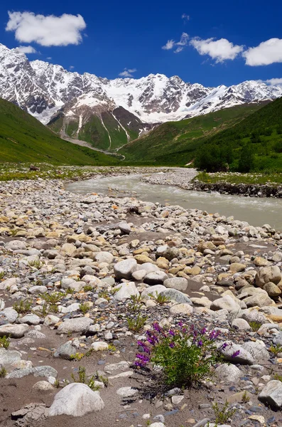 Sommer in den Bergen — Stockfoto