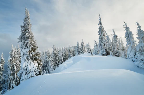 Snö sanddyner — Stockfoto