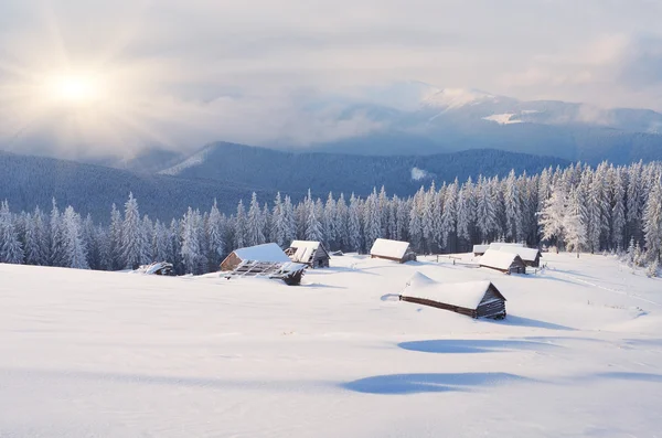 Winter Landscape — Stock Photo, Image