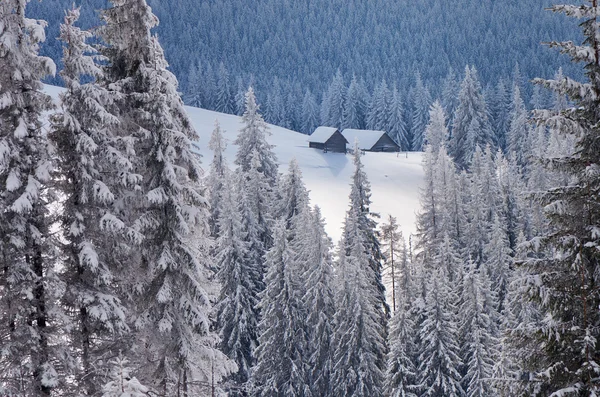 Hut in de winter forest — Stockfoto