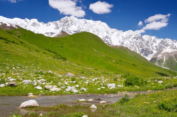 Montagna Shkhara — Foto Stock