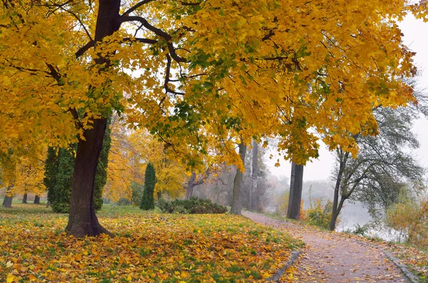 Höst i parken — Stockfoto