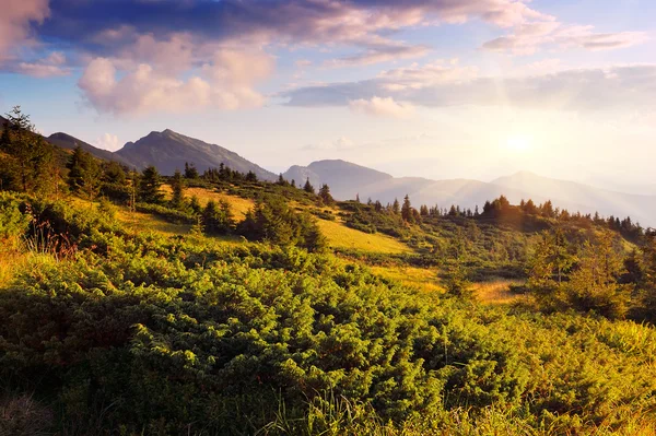 Sonniger Abend in den Bergen — Stockfoto