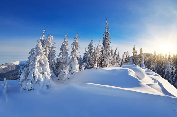 Día de invierno soleado — Foto de Stock