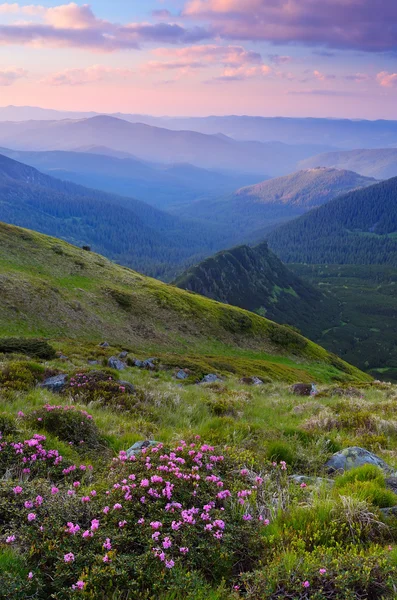 Abendlandschaft in den Bergen — Stockfoto