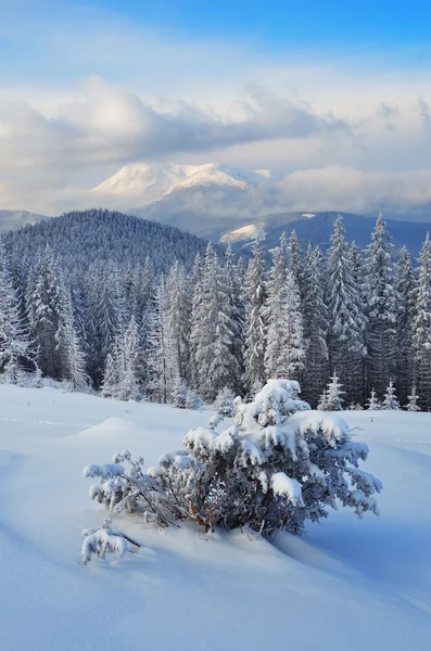 Winter in the mountain valley — Stock Photo, Image