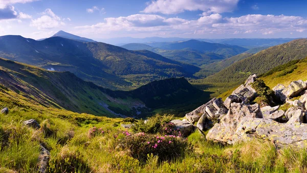 Summer Landscape — Stock Photo, Image